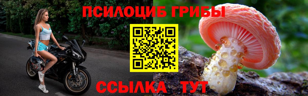 Вольск  Псилоцибиновые грибы MAGIC MUSHROOMS  Вход с VPN 